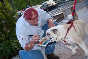 joel silverman dog training
