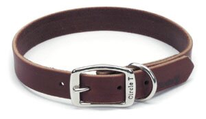 Leather dog training collar