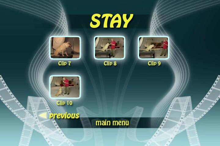 Stay Dog Training DVD