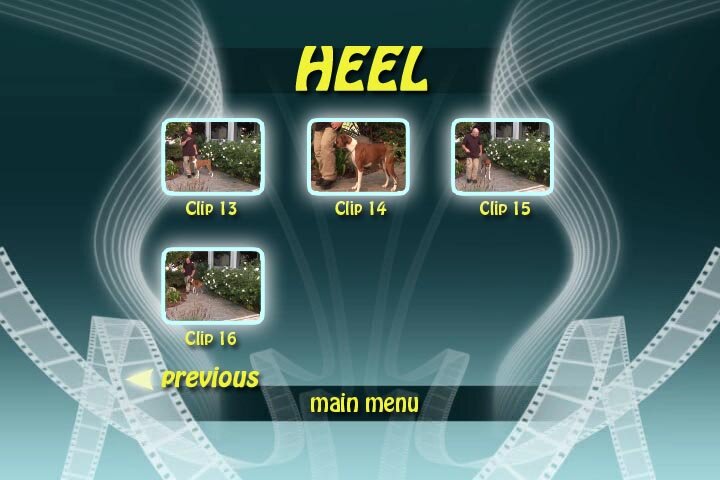 Train the dog to heel