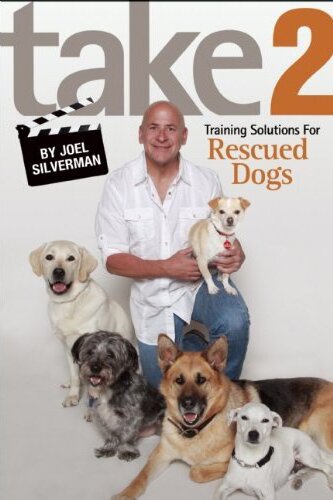 TAKE 2 training solutions for rescued dogs